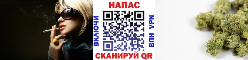 Бошки марихуана марихуана  Хадыженск 